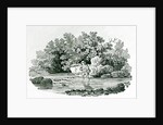 An Angler in a River Pool by Thomas Bewick