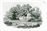 An Angler in a River Pool by Thomas Bewick