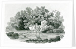 An Angler in a River Pool by Thomas Bewick