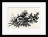 Bird's Nest by Thomas Bewick