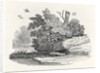 Fox escaping by Thomas Bewick