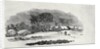 Endpiece, late 18th or early 19th century by Thomas Bewick