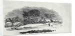 Endpiece, late 18th or early 19th century by Thomas Bewick
