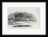 Endpiece, late 18th or early 19th century by Thomas Bewick