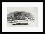 Endpiece, late 18th or early 19th century by Thomas Bewick