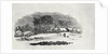 Endpiece, late 18th or early 19th century by Thomas Bewick