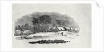 Endpiece, late 18th or early 19th century by Thomas Bewick