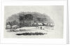 Endpiece, late 18th or early 19th century by Thomas Bewick