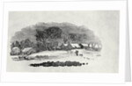 Endpiece, late 18th or early 19th century by Thomas Bewick