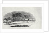 Endpiece, late 18th or early 19th century by Thomas Bewick
