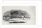 Endpiece, late 18th or early 19th century by Thomas Bewick