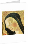 Madonna and Child by Neroccio di Landi