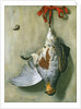 Trompe l'Oeil with Partridge, 1666 by Hendrik de Fromantiou
