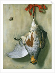 Trompe l'Oeil with Partridge, 1666 by Hendrik de Fromantiou