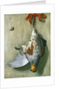 Trompe l'Oeil with Partridge, 1666 by Hendrik de Fromantiou