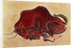 Rock painting of a bison, late Magdalenian, 13000 BC by Anonymous