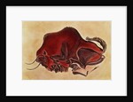 Rock painting of a bison, late Magdalenian, 13000 BC by Anonymous