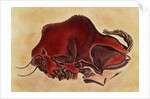 Rock painting of a bison, late Magdalenian, 13000 BC by Anonymous