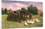 Cows and Ducks by Claude Cardon