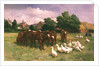Cows and Ducks by Claude Cardon