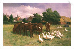 Cows and Ducks by Claude Cardon