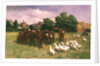 Cows and Ducks by Claude Cardon