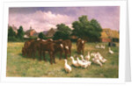Cows and Ducks by Claude Cardon