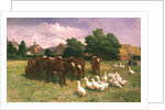 Cows and Ducks by Claude Cardon