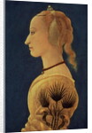 Portrait of a Lady, c.1465 by Alessio Baldovinetti
