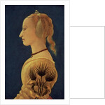 Portrait of a Lady, c.1465 by Alessio Baldovinetti