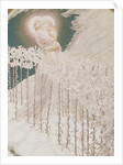 Virgin of the Lilies, 1899 by Carlos Schwabe