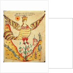 Sirin, The Bird of Paradise by School Russian