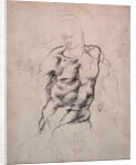 Figure Study by Michelangelo Buonarroti