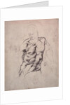 Figure Study by Michelangelo Buonarroti