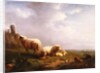 Sheep and chickens in a landscape, 19th century by Eugene Joseph Verboeckhoven