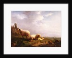 Sheep and chickens in a landscape, 19th century by Eugene Joseph Verboeckhoven