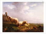 Sheep and chickens in a landscape, 19th century by Eugene Joseph Verboeckhoven