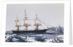 Clipper Ship 'Red Jacket' in the ice off Cape Horn on her passage from Australia to Liverpool by American School