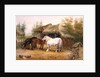 Carthorses in a farmyard by Edwin Frederick Holt