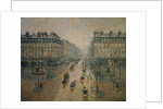 Avenue de L'Opera, Paris, 1898 by Camille Pissarro