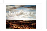 An Extensive Landscape with a Road by a River, 1655 by Phillips de Koninck