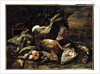 Still Life with a Hare, Song Birds and a Bird Net with a Spaniel Beyond by Jan Fyt