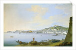 View of Naples by Saviero Xavier della Gatta