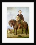 John Samuel Bradford as a boy seated on a shetland pony with a pug dog, 19th century by Gourlay Steel