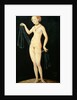 Venus, 1532 by Lucas the Elder Cranach
