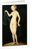 Venus, 1532 by Lucas the Elder Cranach