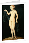 Venus, 1532 by Lucas the Elder Cranach