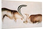Male and female deer, Magdalenian school, c.13000 BC by Paleolithic Paleolithic