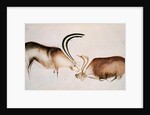 Male and female deer, Magdalenian school, c.13000 BC by Paleolithic Paleolithic
