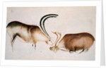 Male and female deer, Magdalenian school, c.13000 BC by Paleolithic Paleolithic